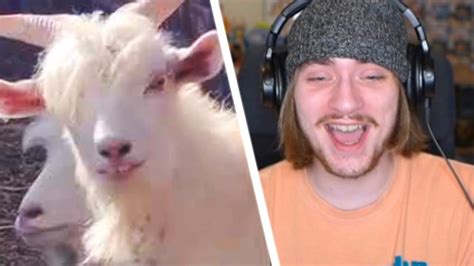 Vezypoo Reacts To Even More Unusual Memes! .